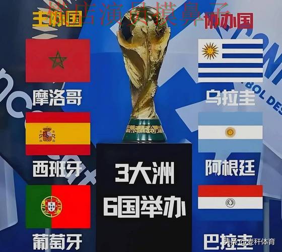 世界杯投注平台哪个好?围绕真实体验+直播体验做一次揭秘(世界杯赛事中心) 世界杯投注平台哪个好?围绕真实体验+直播体验做一次揭秘(世界杯赛事中心)